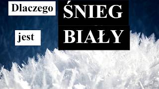 Dlaczego ŚNIEG jest BIAŁY