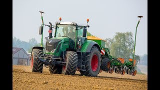 Semis de maïs | Fendt 828 Vario \u0026 Amazone ED 602-K