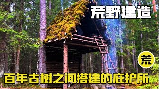 【荒野建造】坐落在两根百年古树之间，引得百万网友夸赞的庇护所，究竟是什么样子？