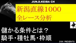 新潟直線1000Ｍ　過去19年分　データ分析