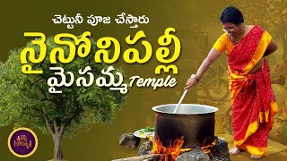 నైనోనిపల్లీ మైసమ్మ Temple (చెట్టునీ పూజ చేస్తారు)  |  Crazy Atha Kodallu  |  Vlog 28