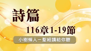 聖經讀給你聽📖🎙–詩篇116章1~19節