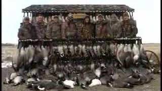 Goose Hunting - Goose Hunting in Alberta October. Duck and Goose Hunt with Claudio Ongaro