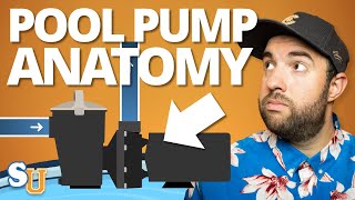 POOL PUMPS 101: How They Work and Troubleshooting Tips | Swim University