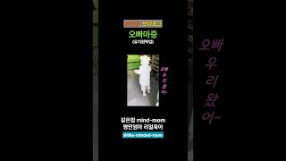 같은맘-브이로그-오빠마중