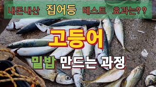 고등어 밑밥제조로 누구나 손맛 확실히 봅니다(#후포방파제 #고등어낚시#전갱이낚시 #호래기 )