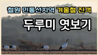 스마트폰으로 두루미 탐조 여행/철원 겨울여행/국제두루미센터/두루미 이야기/DMZ두루미평화타운/철원 가볼만한곳/