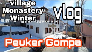 Peuker Gompa in winter।।Winter Vlog।।Village Life।।Lahaul Spiti valley।।Snowland।।