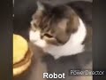 Here kitty you can has cheeseburger, but it's autotuned