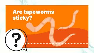 But Why Kids | Are tapeworms sticky? | Full Podcast Episode