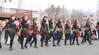 虎舞士【総踊り】高崎人情市 20191222