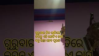 ଗୁରୁବାର ଦିନ ରାତିରେ କରନ୍ତୁ ଏହି ଗୋଟିଏ କାମ ସବୁ ଇଛା ହେବପୂରଣ ଜଲଦିକରନ୍ତୁ #ଆଜିରଅନୁଚିନ୍ତା#odiagyana#nitibani