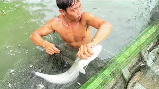 Traditional fishing use cast net  | Nimitt village fishing video