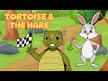 Tortoise and the Hare  | Fairy tales | Bedtime stories 🐢💨 🏁✨