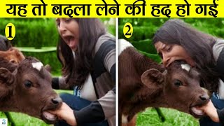 ऐसे बेवकूफ लोग जिन्हें देखकर हंसी नही रुकेगी | Most Stupid People On Earth