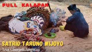 KALAP MASAL‼️SATRIO TARUNO WIJOYO (STW) Live Clumprit, Singosari