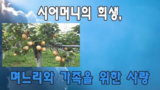 최신 이야기 | 팟캐스트 | 신청사연 | 2024년 10월 02일