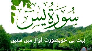 Surah Yasin (Yaseen) with Urdu Translation | Quran Tilawat Beautiful Voice | Hindi Tarjuma