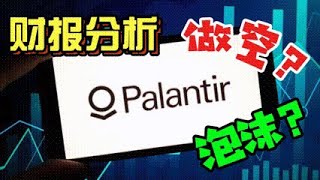 PLTR 财报分析 - 股价高估？利益输送？增长乏力？