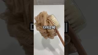 다이소 역대급 혼종 신상 등장함 ㅎㄷㄷ #다이소신상