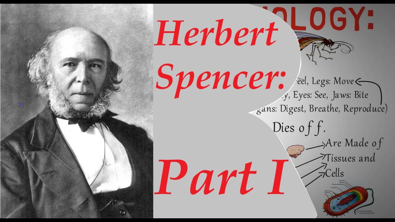 Principles Of Biology || Philosophy Of Herbert Spencer || ReadingisBest ...