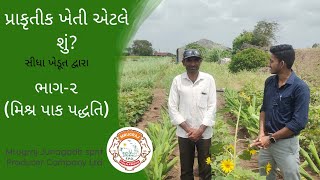 | પ્રાકૃતીક ખેતી એટલે શું? | ભાગ 2 | મિશ્ર પાક પદ્ધતિ શું અને તેના ફાયદા | સીધા ખેડૂત દ્વારા|mjspcl