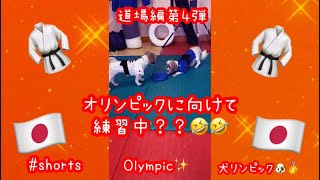 【オリンピック】オリンピックに向けて練習している？🏅🤣犬リンピック🐶Are you practicing for the Olympics?🥋🏅 Dog olympic#shorts