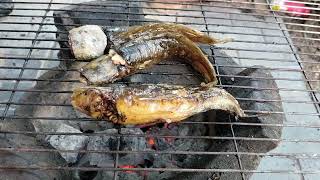 ត្រីអណ្ដែងទន់អាំង/Grilled soft catfish