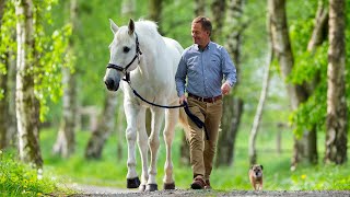 Alte Helden: In Erinnerung an Marius