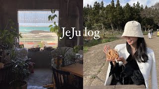 vlog | 제주 브이로그 | 제주 카페 | 인스밀 | 풀베개 | 금오름 | 수풀 | 제주 소품샵 | 협재 해수욕장 | 일상 브이로그 | 겟 레디 윗미 | 여행 브이로그