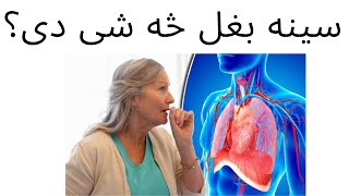 سینه بغل څه شی دی؟ ختمآ يي وګری او خپله درملنه خپله وګړی