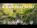 Chasing The Grand Slam in Redeye Bass --International Fly Fishing Film Festival 2022--Director's Cut