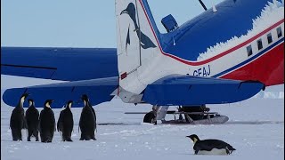 Antarctica 2017