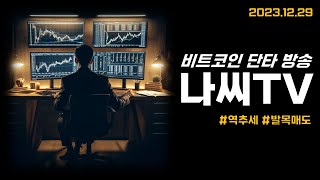 나씨의 투자일기 (12/29) 23년 마지막 라이브 방송 (Feat. 매매복기와 QnA)