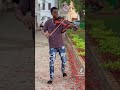 zali violin good melody