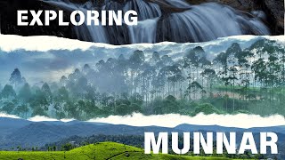 Top 15 Attractions in Munnar: Tea Gardens, Waterfalls, and Scenic Views