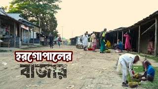 অস্তিত্ব সংকটে ভালুকার সীমান্তবর্তী হরগোপালের বাজার। Village Hat। Birjoddha