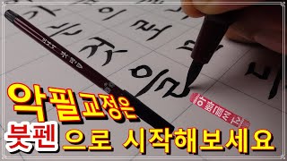 윤동주의 서시 손글씨, 모나미 붓펜으로 정자체 쓰기(감상모드)