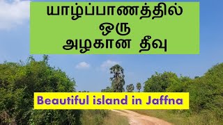 யாழ்ப்பாணத்தில் உள்ள அழகான தீவு |  beautiful island in Jaffna | #srilanka #jaffna #mandaitivu