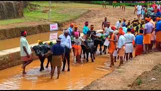 kakyapadavu kambala 2019 | ಕಕ್ಯಪದವು ಕಂಬಳ 2019