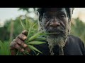 weed dub rap dub mix • dub music • reggae roots