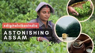 #3 |Astonishing Assam: Unveiling the Alphabetical Adventure| @Viz.ai01