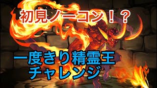 【パズドラ】一度きり精霊王チャレンジ！ボスで奇跡が！！