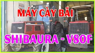 máy cãy bãi Shibaura V80F động cơ TURBO khủng long nhất dòng V mới cập bến