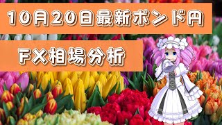 【年間10000pips獲得】ポンド円4時間足チャート分析と今後のトレード【FX】【四国めたん】【10月20日】