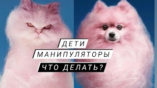 Дети Манипуляторы 😱 Что делать?