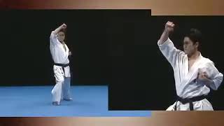 Shinkyokushin Kata - Pinan sono Ichi (1) 平安その1