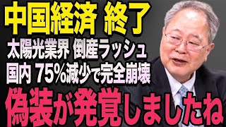 【海外の反応】高橋洋一が解説！ 中国の大手太陽光企業がついに破綻！各社も相次いで操業停止！中国太陽光全体でプロジェクトが75%減少！　#習近平#中国#高橋洋一#456