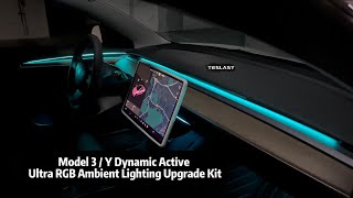 Model 3/Y Dynamic Active Ultra RGB Ambient Lighting Upgrade Kit #tesla  #teslaambientlights