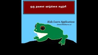 ஒரு தவளை வாழ்க்கை சுழற்சி- Life cycle of frog in Tamil -  Kidz Learn Applications™